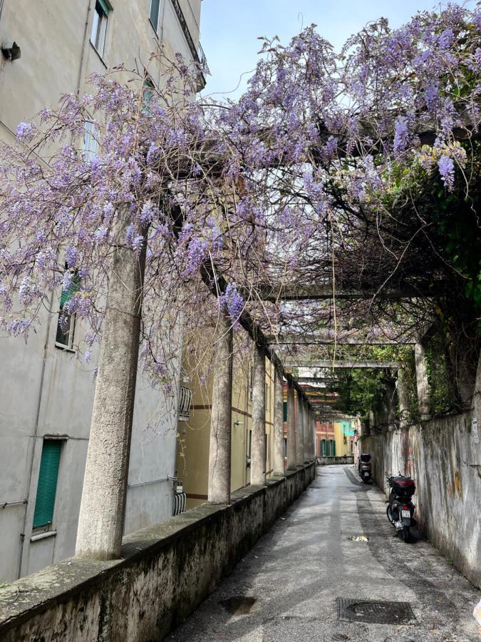The Secret Garden Διαμέρισμα Σαλέρνο Εξωτερικό φωτογραφία